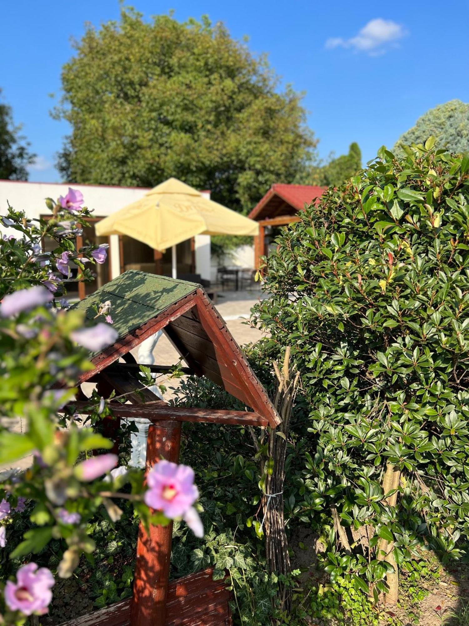 Bajor Panzio Buek-Buekfuerdo, Adults Friendly 12 Plus Εξωτερικό φωτογραφία